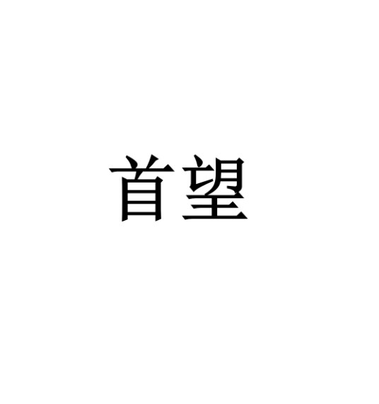 首望(影音品牌)