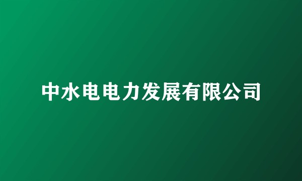 中水电电力发展有限公司
