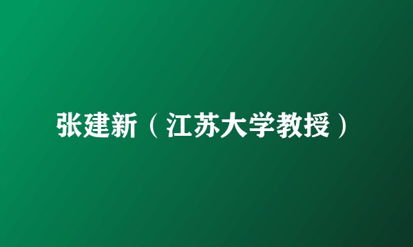 张建新（江苏大学教授）