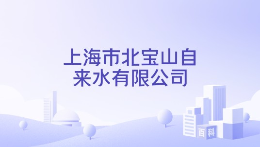 上海市北宝山自来水有限公司