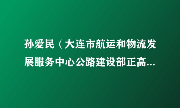 孙爱民（大连市航运和物流发展服务中心公路建设部正高级工程师）