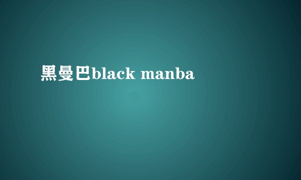 黑曼巴black manba