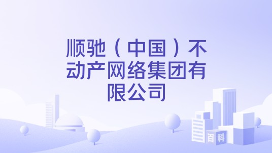 顺驰（中国）不动产网络集团有限公司
