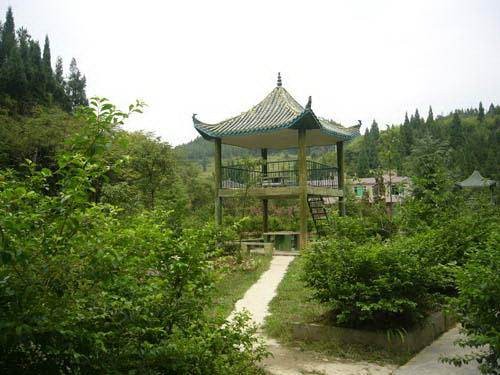 东山森林公园(江苏省苏州市吴中区境内的公园)