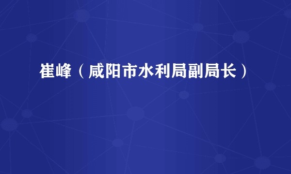 崔峰（咸阳市水利局副局长）