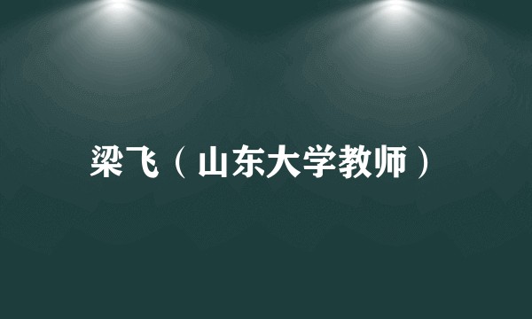 梁飞（山东大学教师）