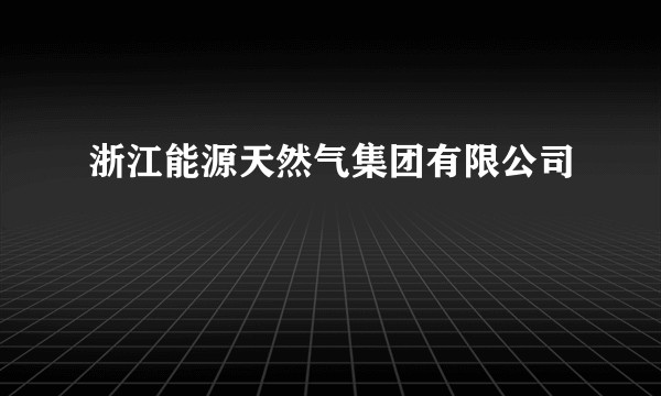 浙江能源天然气集团有限公司