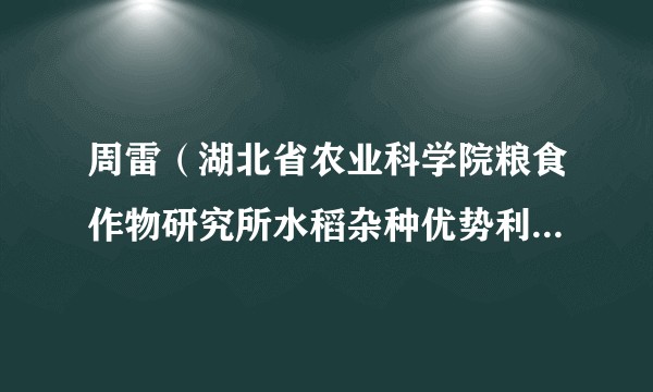周雷（湖北省农业科学院粮食作物研究所水稻杂种优势利用研究室主任、研究员，水稻党支部书记）