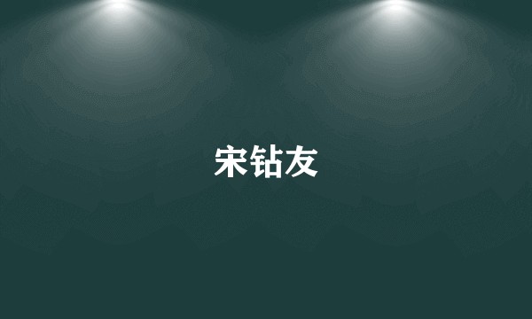 宋钻友