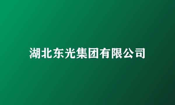 湖北东光集团有限公司