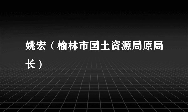 姚宏（榆林市国土资源局原局长）