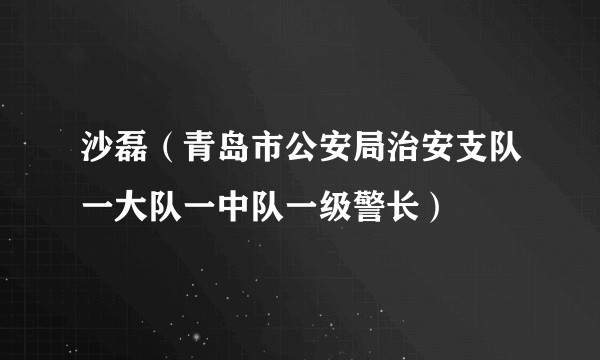 沙磊（青岛市公安局治安支队一大队一中队一级警长）