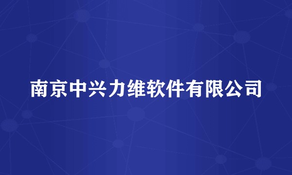南京中兴力维软件有限公司