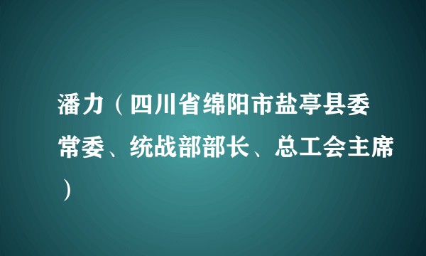 潘力（四川省绵阳市盐亭县委常委、统战部部长、总工会主席）