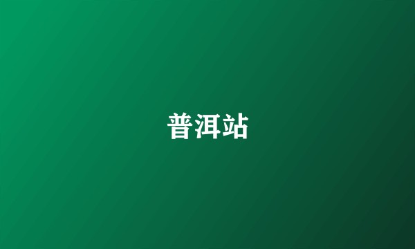 普洱站
