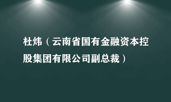 杜炜（云南省国有金融资本控股集团有限公司副总裁）