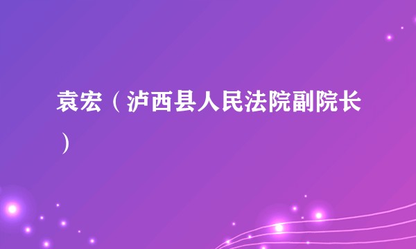 袁宏（泸西县人民法院副院长）