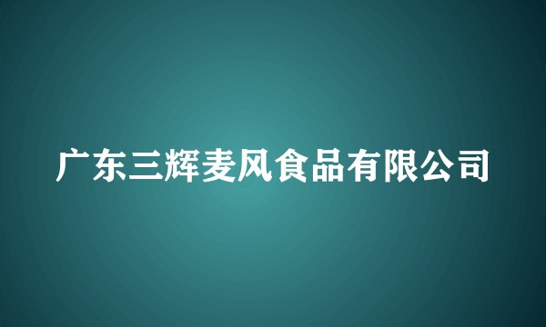 广东三辉麦风食品有限公司
