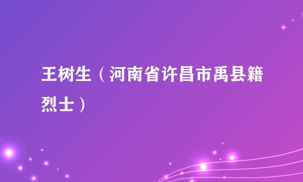 王树生(河南省许昌市禹县籍烈士)