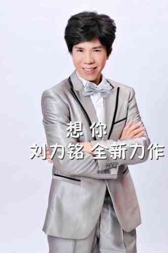 想你(刘力铭演唱歌曲)