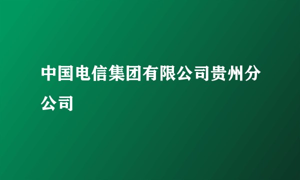 中国电信集团有限公司贵州分公司