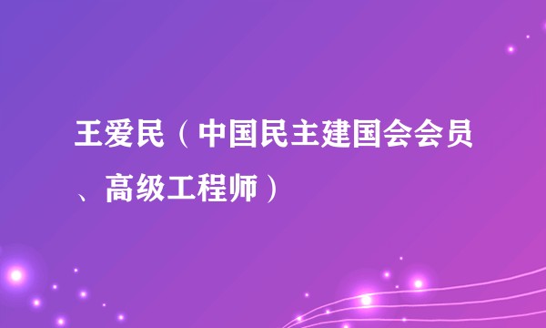 王爱民（中国民主建国会会员、高级工程师）
