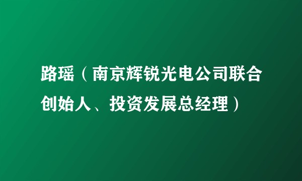 路瑶(南京辉锐光电公司联合创始人、投资发展总经理)