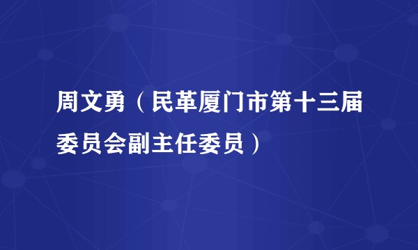 周文勇(民革厦门市第十三届委员会副主任委员)