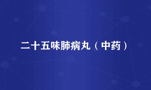 二十五味肺病丸（中药）