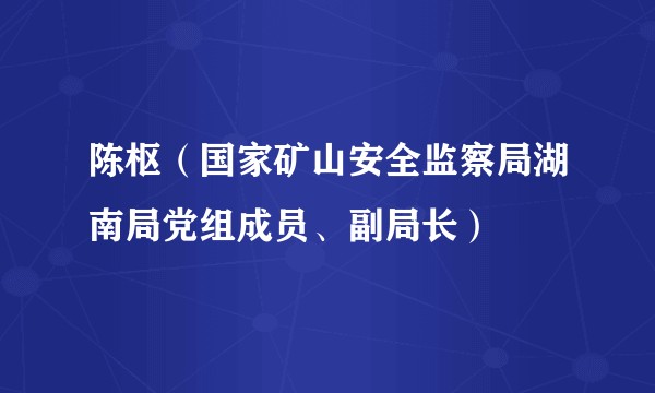 陈枢（国家矿山安全监察局湖南局党组成员、副局长）