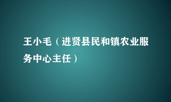 王小毛（进贤县民和镇农业服务中心主任）