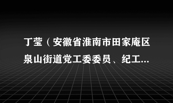 丁莹（安徽省淮南市田家庵区泉山街道党工委委员、纪工委书记）