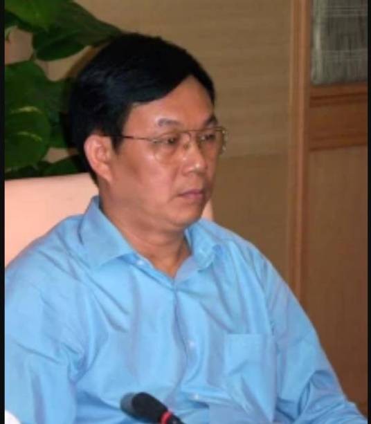 李鸣（广西壮族自治区党委巡视组原组长）