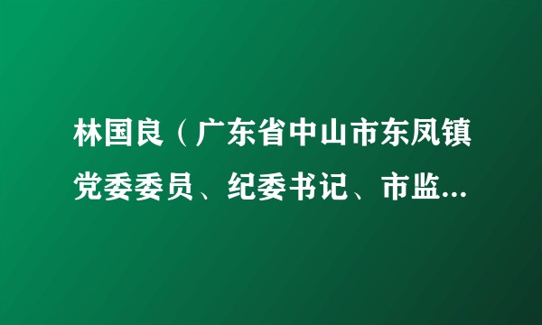 林国良（广东省中山市东凤镇党委委员、纪委书记、市监委派出监察组组长、一级主任科员）