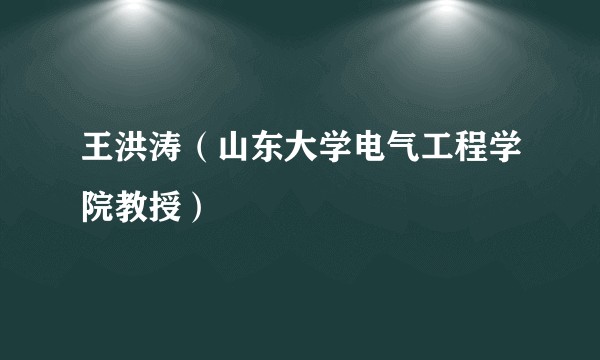王洪涛（山东大学电气工程学院教授）