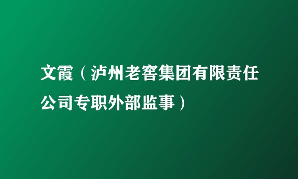 文霞（泸州老窖集团有限责任公司专职外部监事）