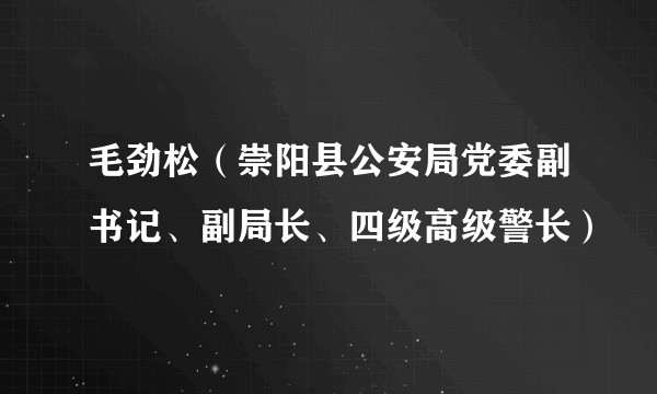 毛劲松（崇阳县公安局党委副书记、副局长、四级高级警长）