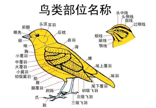 名称