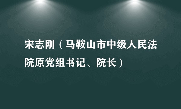 宋志刚（马鞍山市中级人民法院原党组书记、院长）