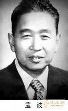 孟波(著名音乐家)