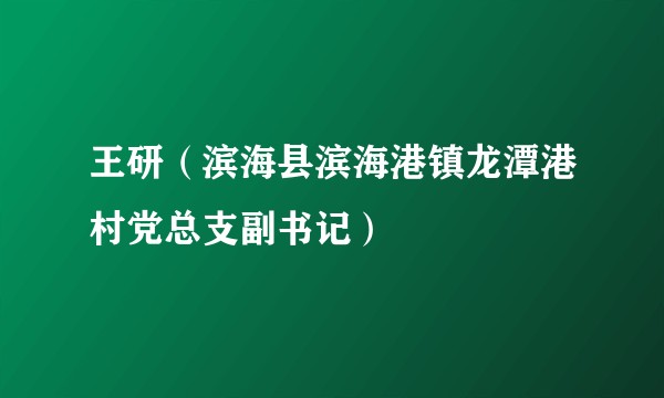 王研（滨海县滨海港镇龙潭港村党总支副书记）