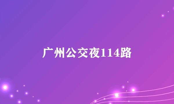 广州公交夜114路