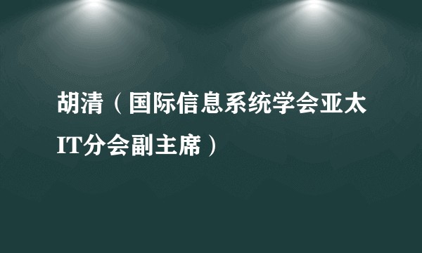 胡清（国际信息系统学会亚太IT分会副主席）