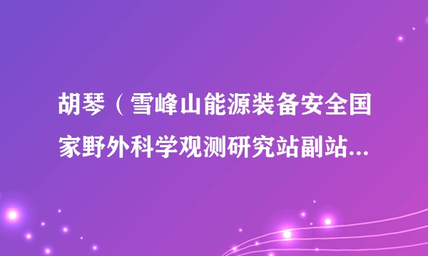 胡琴（雪峰山能源装备安全国家野外科学观测研究站副站长、重庆大学电气工程学院教授）