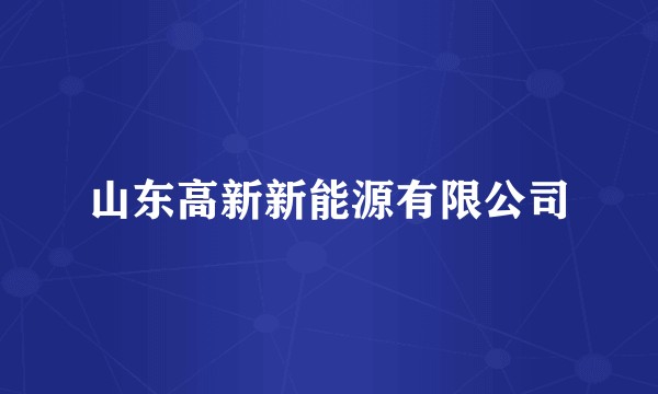 山东高新新能源有限公司