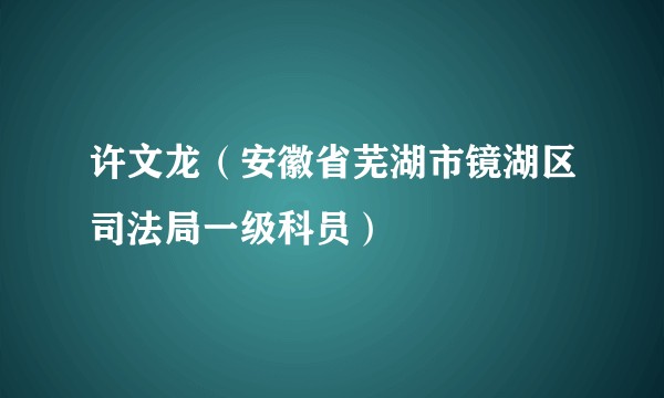 许文龙（安徽省芜湖市镜湖区司法局一级科员）