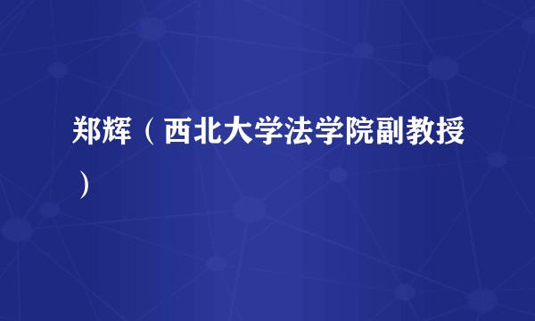 郑辉（西北大学法学院副教授）