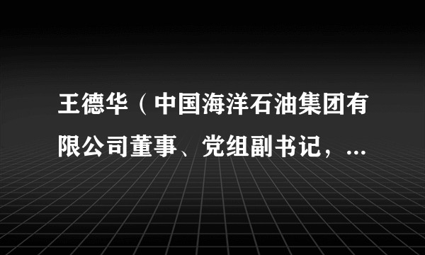 王德华（中国海洋石油集团有限公司董事、党组副书记，中国海洋石油有限公司非执行董事、审核委员会成员）