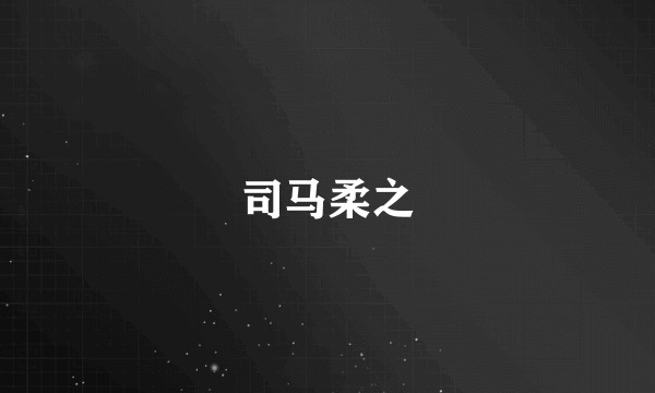司马柔之