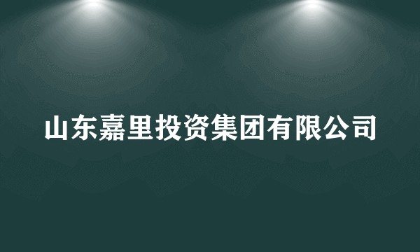 山东嘉里投资集团有限公司